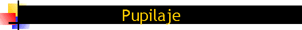 Pupilaje